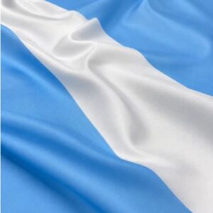Banderas Argentinas SIN SOL