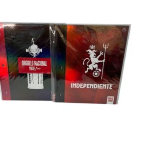 Carpeta Nº3 Big Life CAI